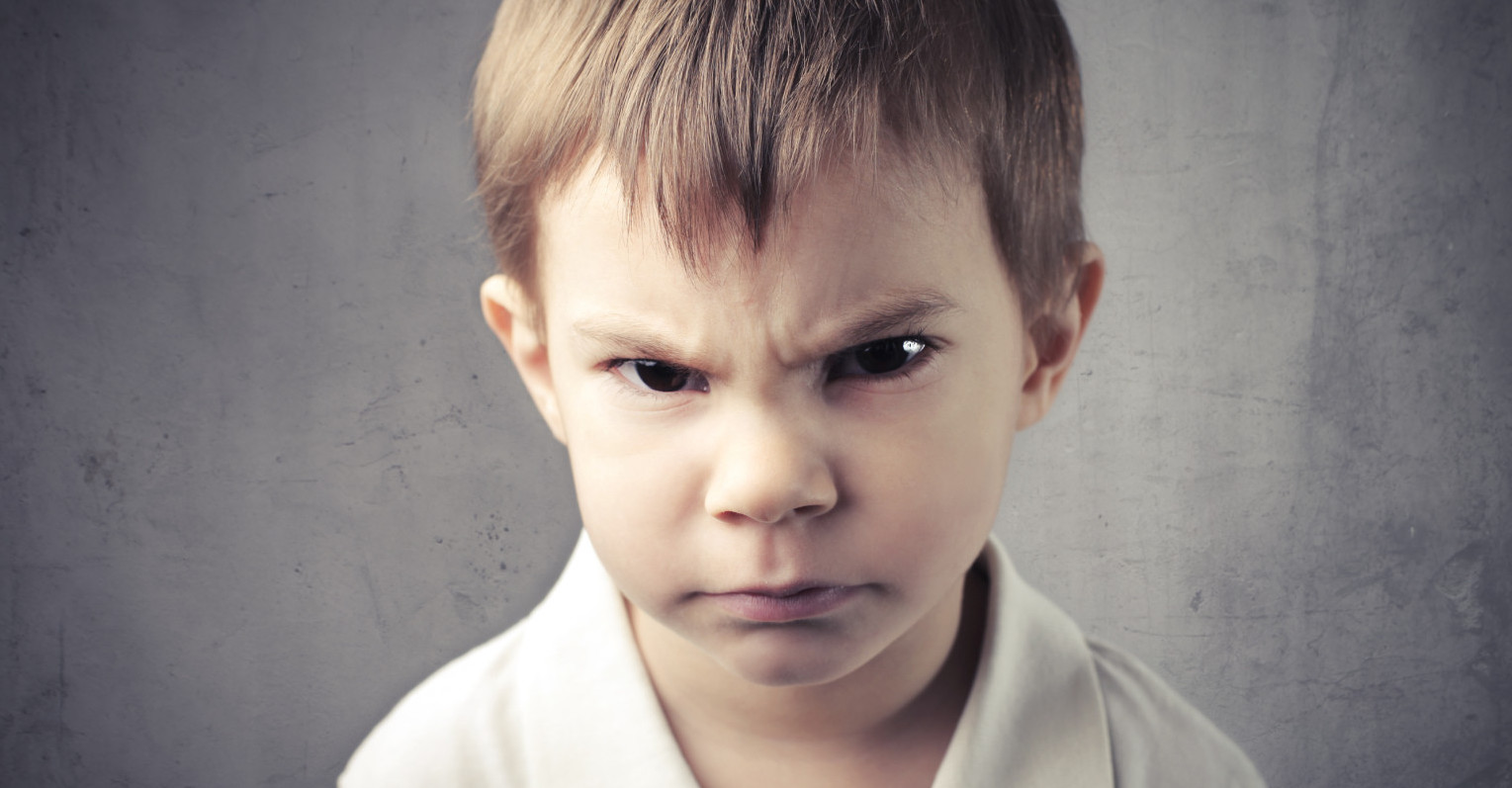 aggressività nei bambini; psicologaadolescenzabologna